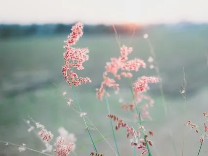 Introduction To Meditation 