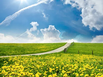 Introduction To Meditation: Basic Practice