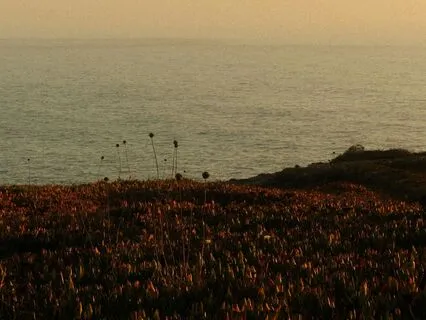 Beginner's Guidance: Posture, Breath, Mind (10 Min)