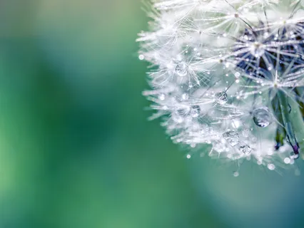 Introduction To Metta Meditation