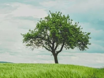 Introduction To Mindful Movement