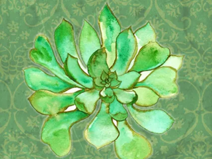 Introduction to Mindfulness Meditation 