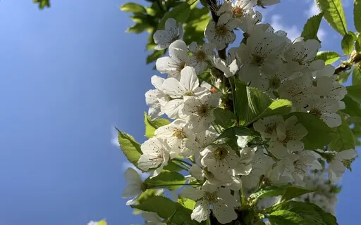 Introduction To Mindfulness Meditation - Day 1