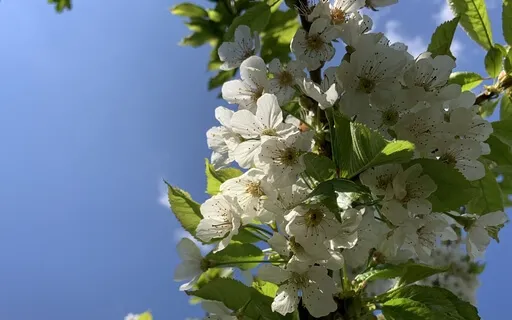 Introduction To Mindfulness Meditation - Day 2