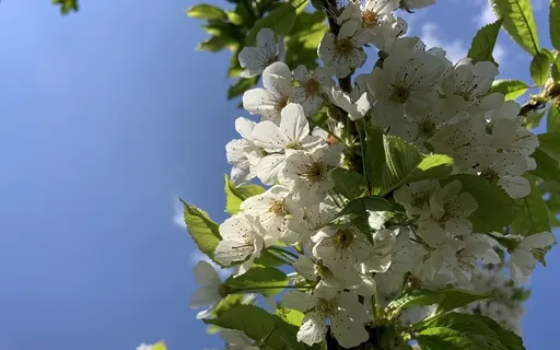 Introduction To Mindfulness Meditation - Day 3