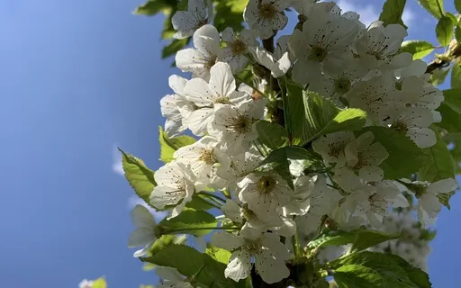 Introduction To Mindfulness Meditation - Day 4