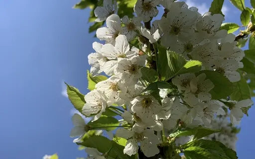 Introduction To Mindfulness Meditation - Day 5