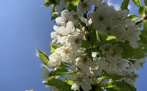 Introduction To Mindfulness Meditation - Day 6