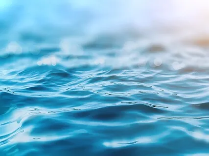 Introduction To Mindfulness Of Emotions 