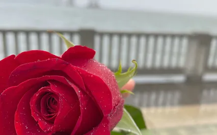 Introduction To Natasha’s Teachings