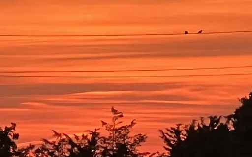 Introduction To Nature Visualization 