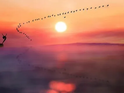 Introduction To Neuroplasticity (How To Impact Your Reality)