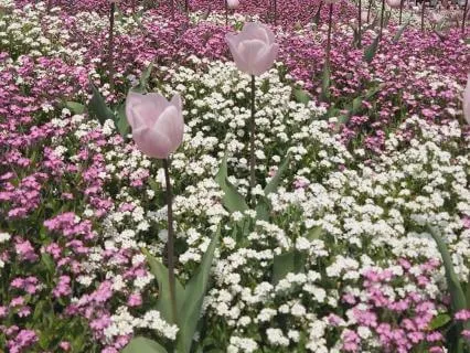 Introduction To Parts Work: Getting To Know One Part