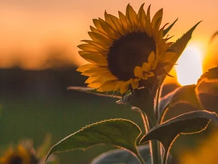 Introduction To Positivism | 50% 40% 10%