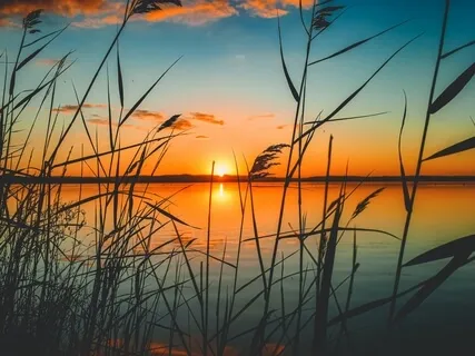 Introduction To Sacred Sound Yoga