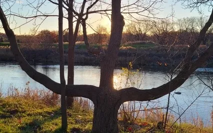 Introduction To Silence, Body Scan With 3 Minutes Of Silence