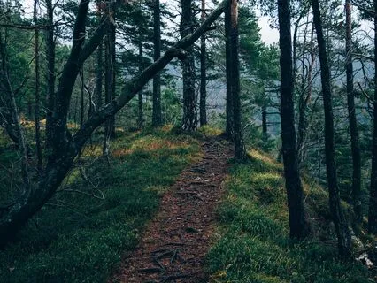 Introduction To The 12-Step Meditations - Please Start Here