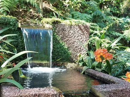 Introduction To The Complete Yogic Breath