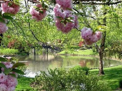 Introduction to the Garden of Tranquility