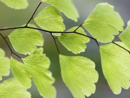 Introduction To The Tao 1.0