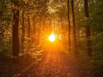 Introduction To Vedanta: Rajjusarpa Nyaya