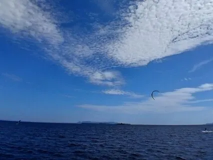 Introduction To My Healing Journey