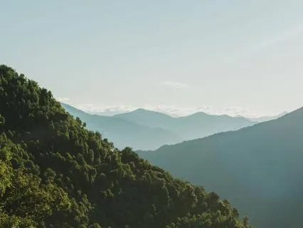 Introductory Meditation 1: Noticing Awareness