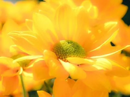 Introductory Meditation 6: I Am