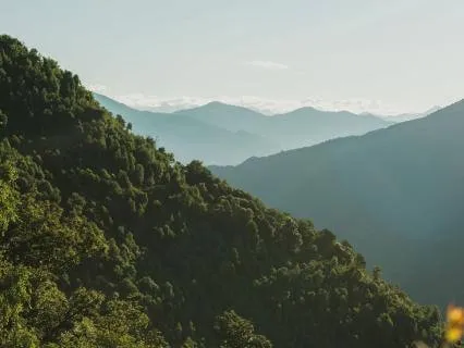 Introductory Meditation 7: Recognition Of Our Shared Being