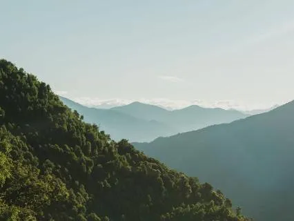 Introductory Meditation 9: Introduction To Yoga Meditation