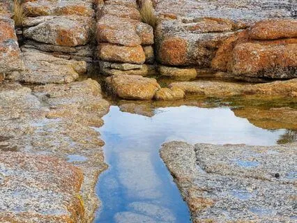 Introductory Mindfulness Practice