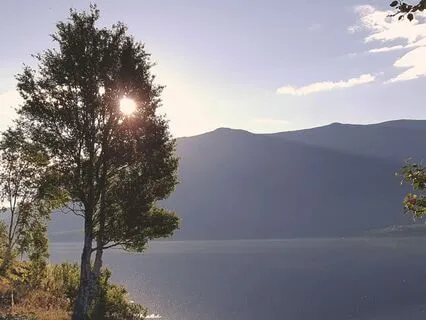 Introduktion Meditationsankare