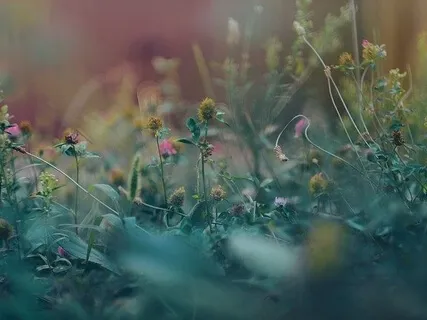 Introspecção Sonora I - Tigelas De Quartzo 432Hz