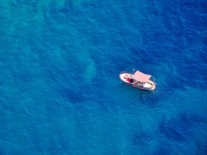 Introvision - Step 1: Acknowledging Attentive Perception