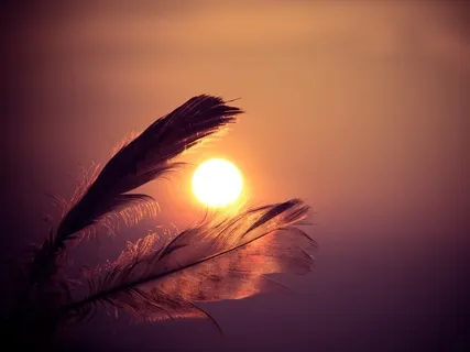 Intuition & Mindfulness