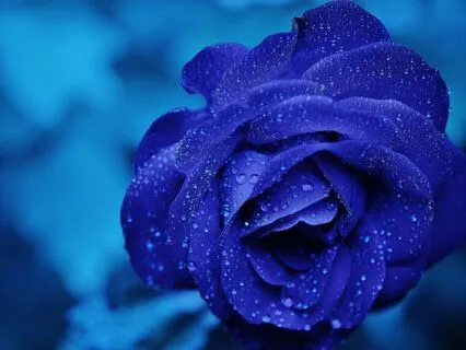 Intuition & Insight (Third Eye Chakra) Affirmations