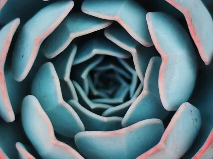 Intuition Made Easy | Guided Practice & Discussion 