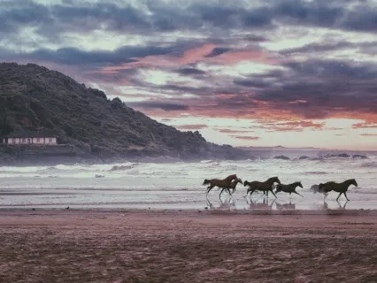 Intuition Of The Body