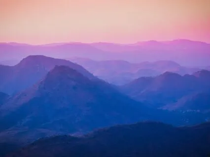 Intuitive Card Reading For The Collective