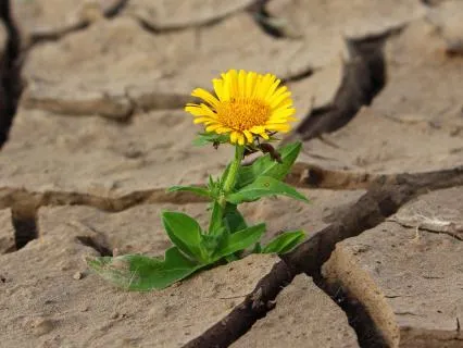 Intuitive Guidance As Self-Healing