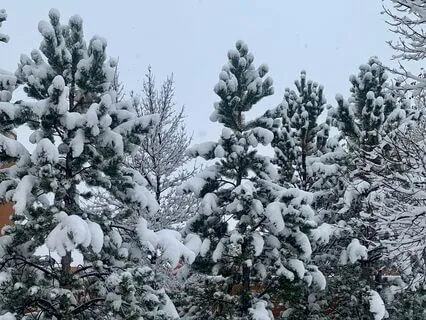 Intuitive Guidance For December