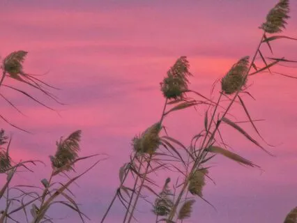 Intuitive Guidance For Deep Healing