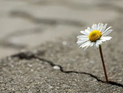 Intuitive Guidance For Integration & Release