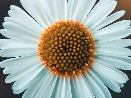 Intuitive Guidance For Self Healing