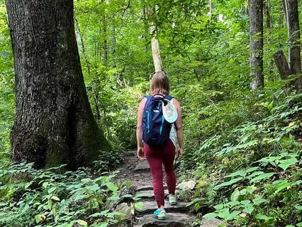 Intuitive Guidance For Spring