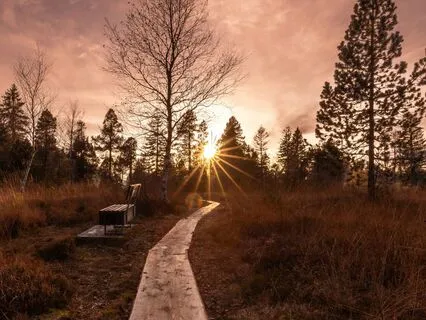 Intuitive Guidance & Inner Wisdom Meditation