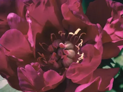 Intuitive Handpan Flow (Instrumental)