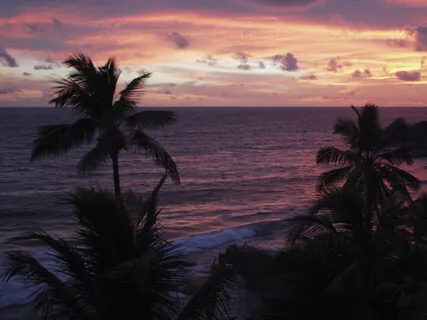 Intuitive Happiness - Calm Music For Sleep, Relaxation And Meditation (With Nature Sounds)