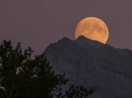 Inventory Of The Night