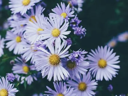 Investigating And Healing Reasons For Relationship Avoidance